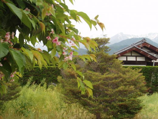 モトクラブコバヤシ